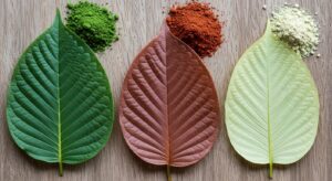 Maeng Da Kratom Powder Effects And Benefits Guide For Buyers